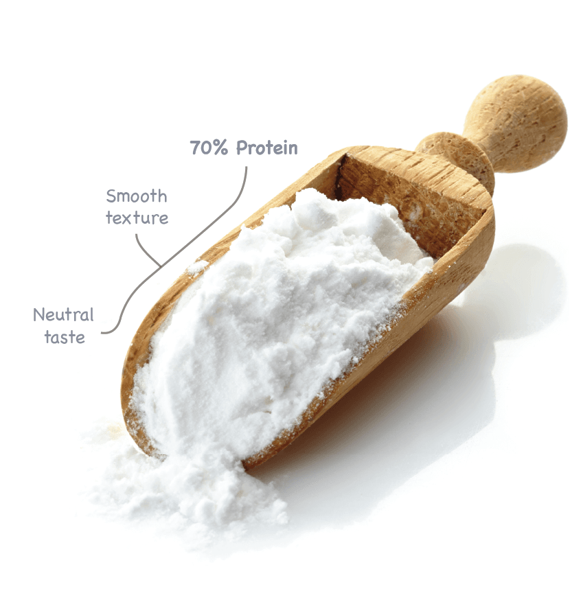 Applied Food Sciences, Inc. V70™ Hemp Heart Protein by AFS Applied