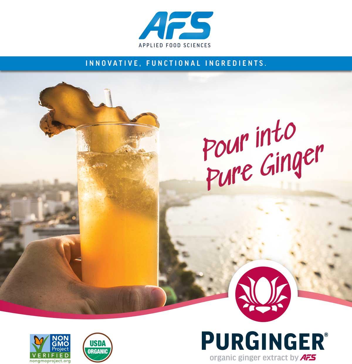 Pour into Pure Ginger. PurGinger Organic Ginger Extract by AFS. NON-GMO and USDA Organic