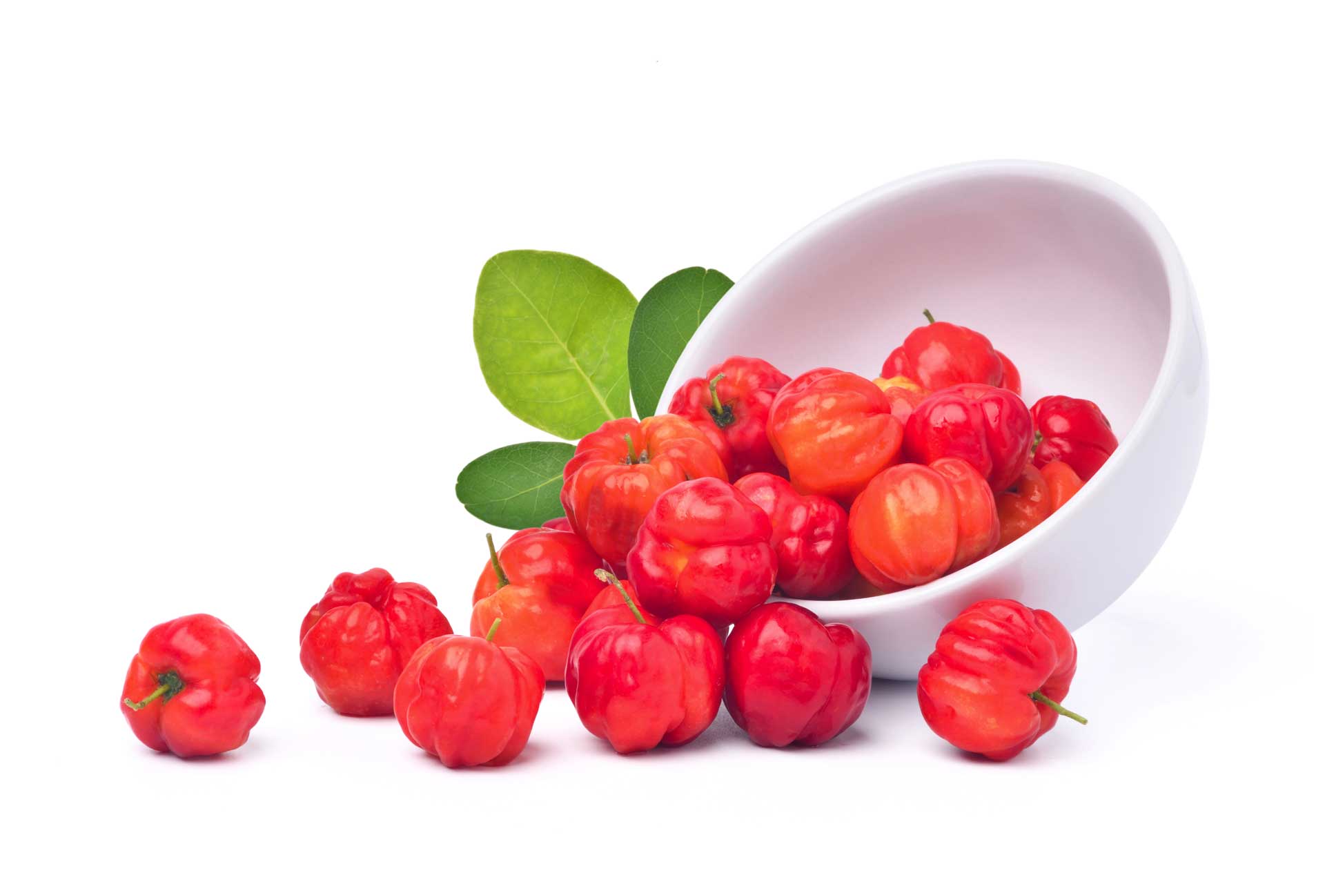 Acerola cherry