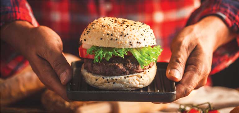 V-70 hemp heart plant-based protein for more authentic meat alternatives V-70 hemp heart plant-based protein for more authentic meat alternatives