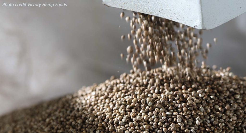 Bulk US hemp grains to make plant-based protein.
