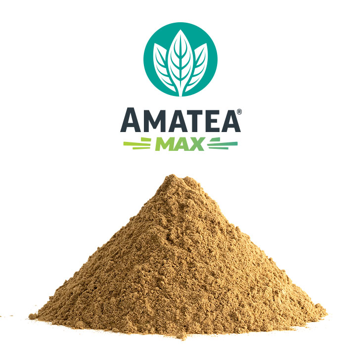Amatea®MAX organic guayusa extract by AFS