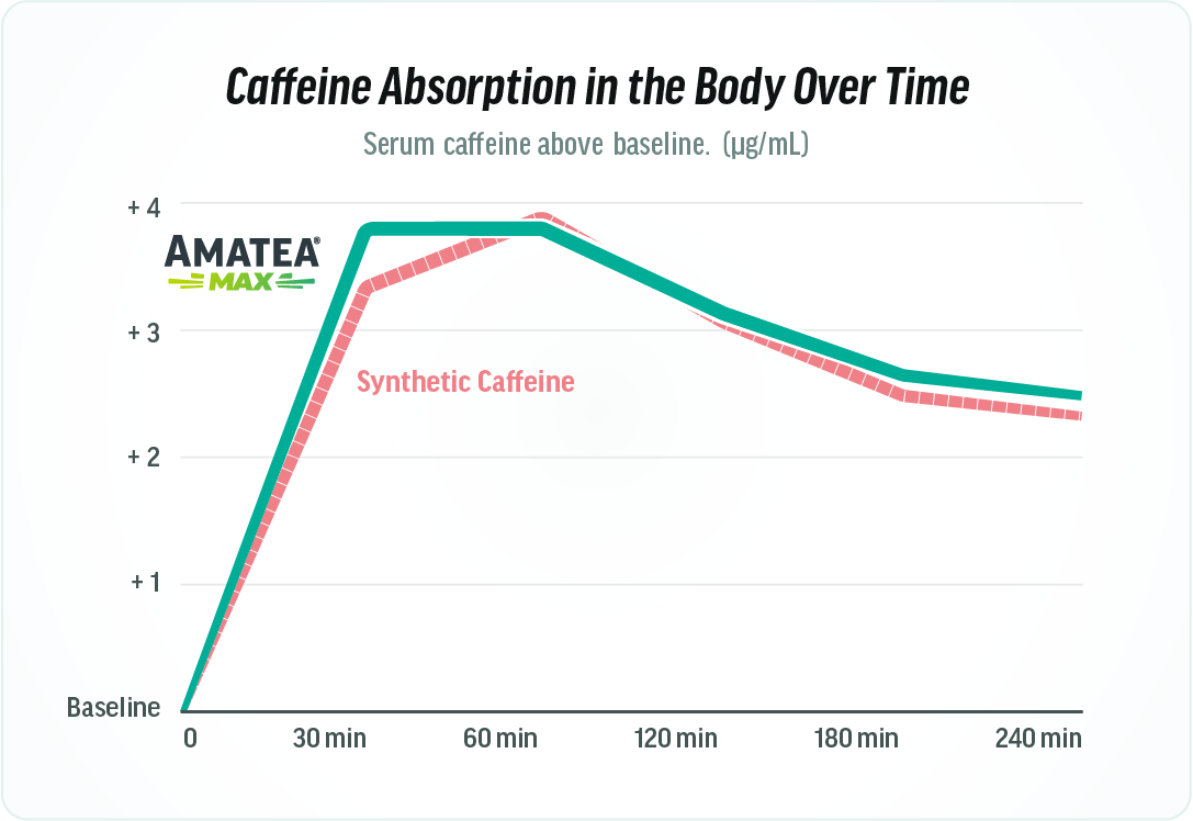 Caffeine absorption in the body graph.