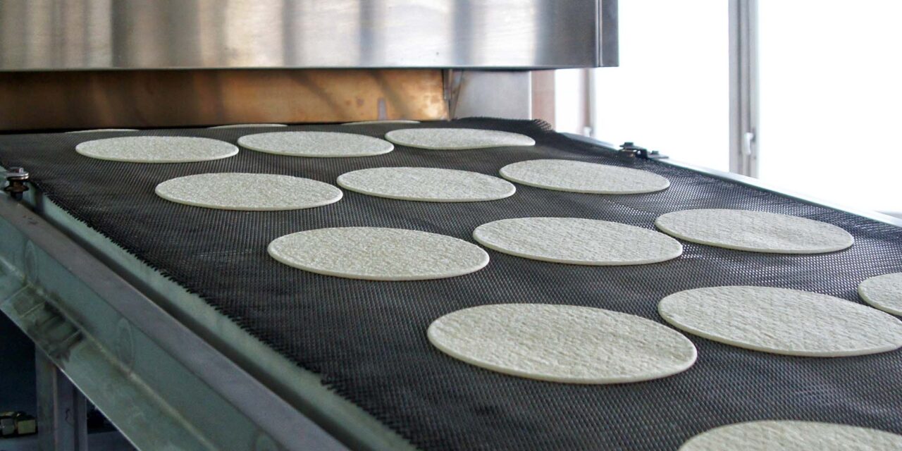 Hemp Seed Protein Gives Rise to Healthy Pizza Dough — Applied Food Sciences, Inc.