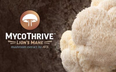 Introducing MycoThrive™ Lion’s Mane: A Clinically Studied Ingredient for Cognitive Performance